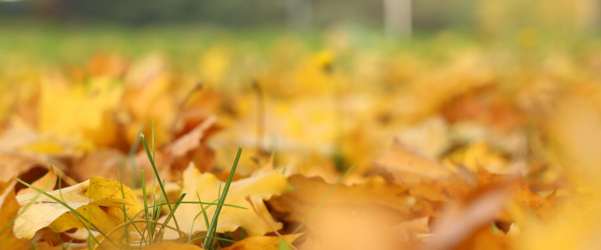 challenge background