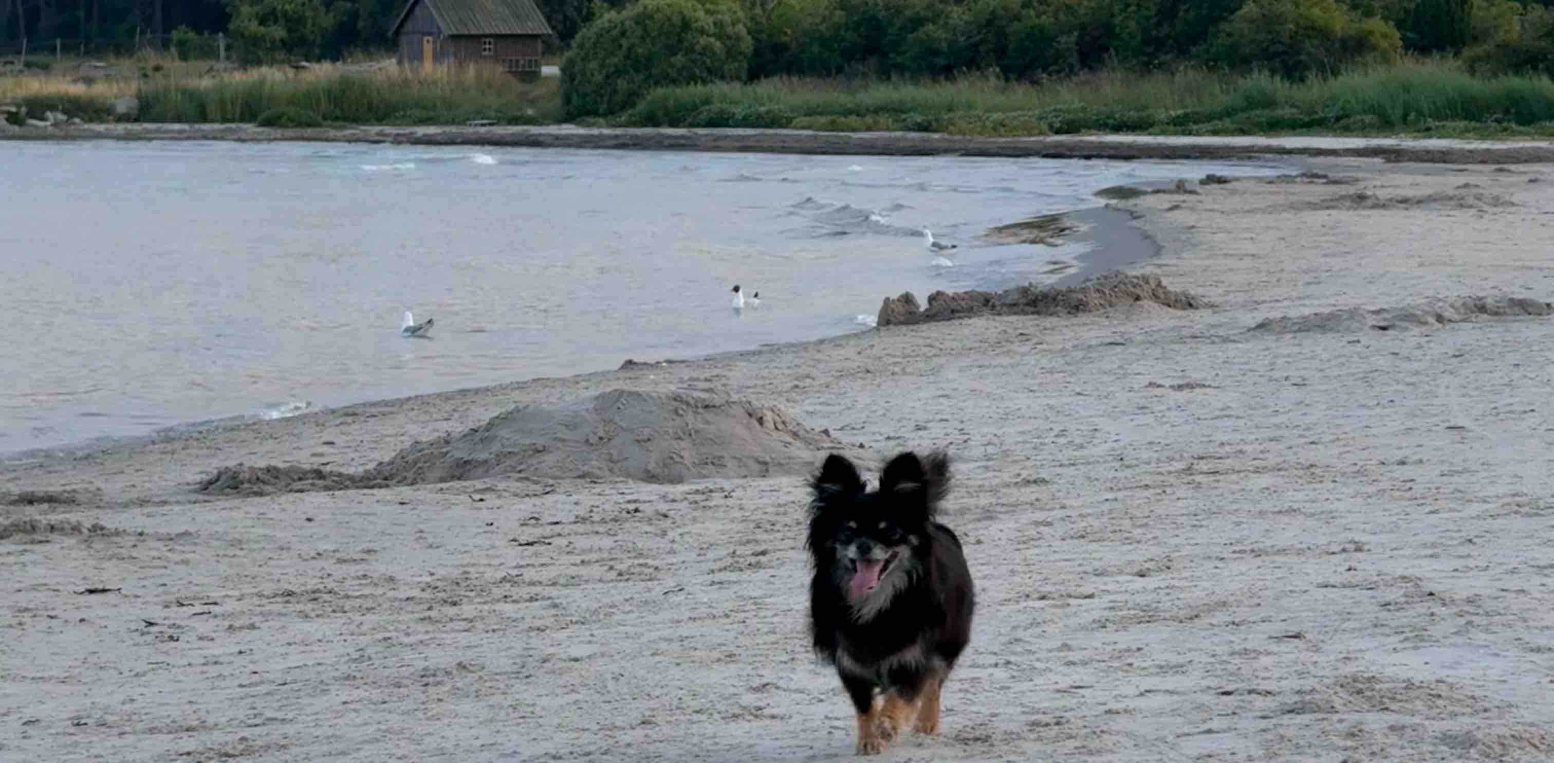 challenge background