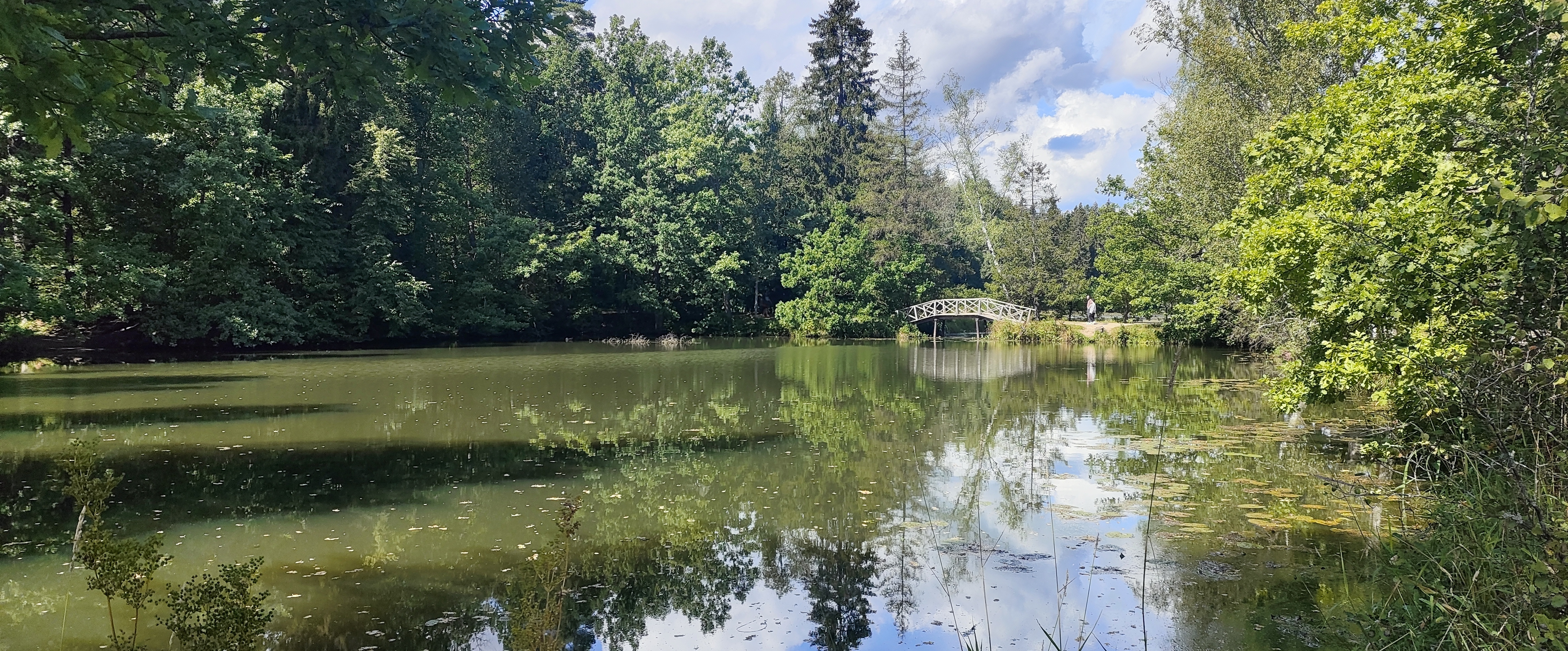 challenge background