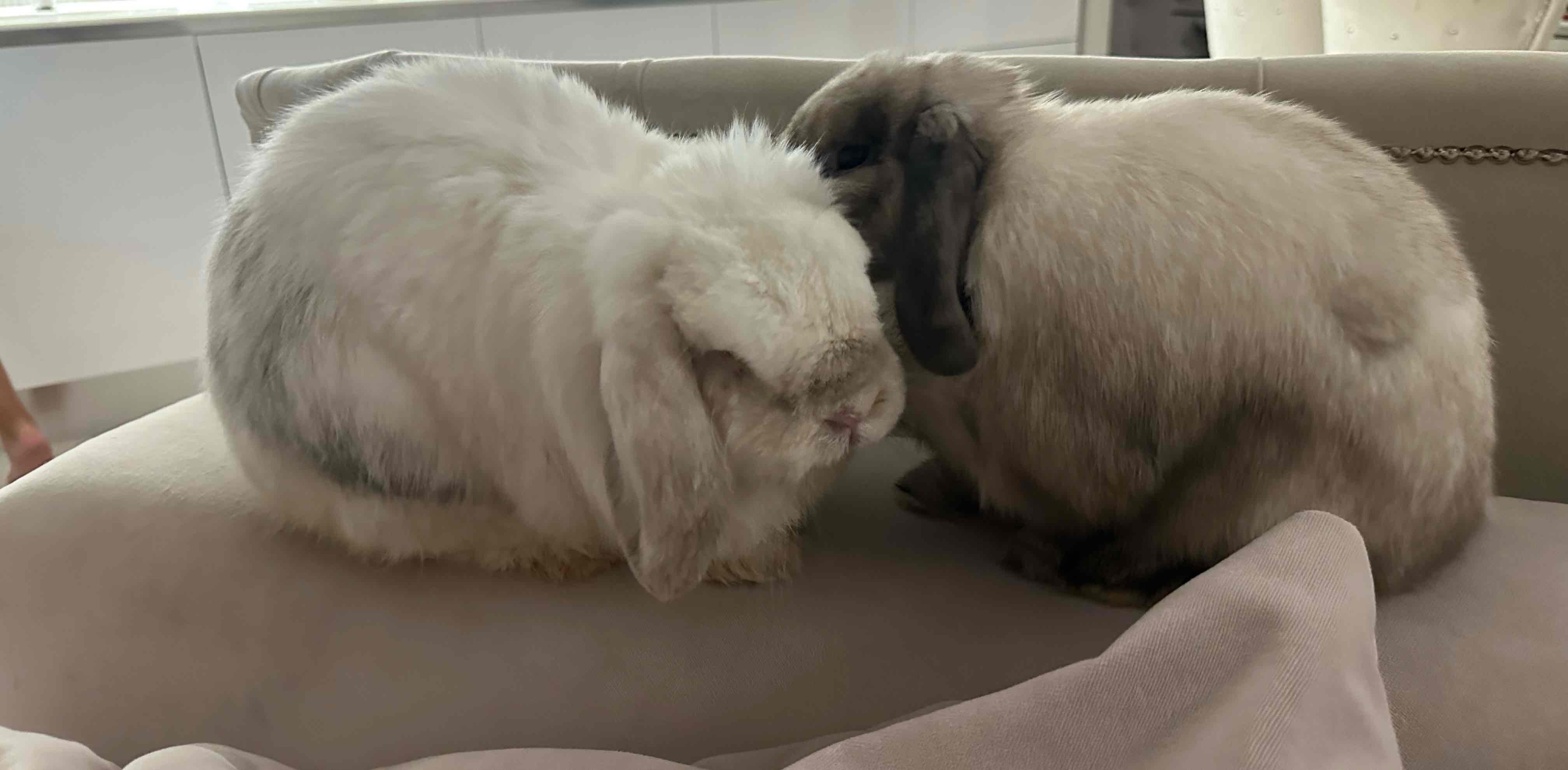 challenge background