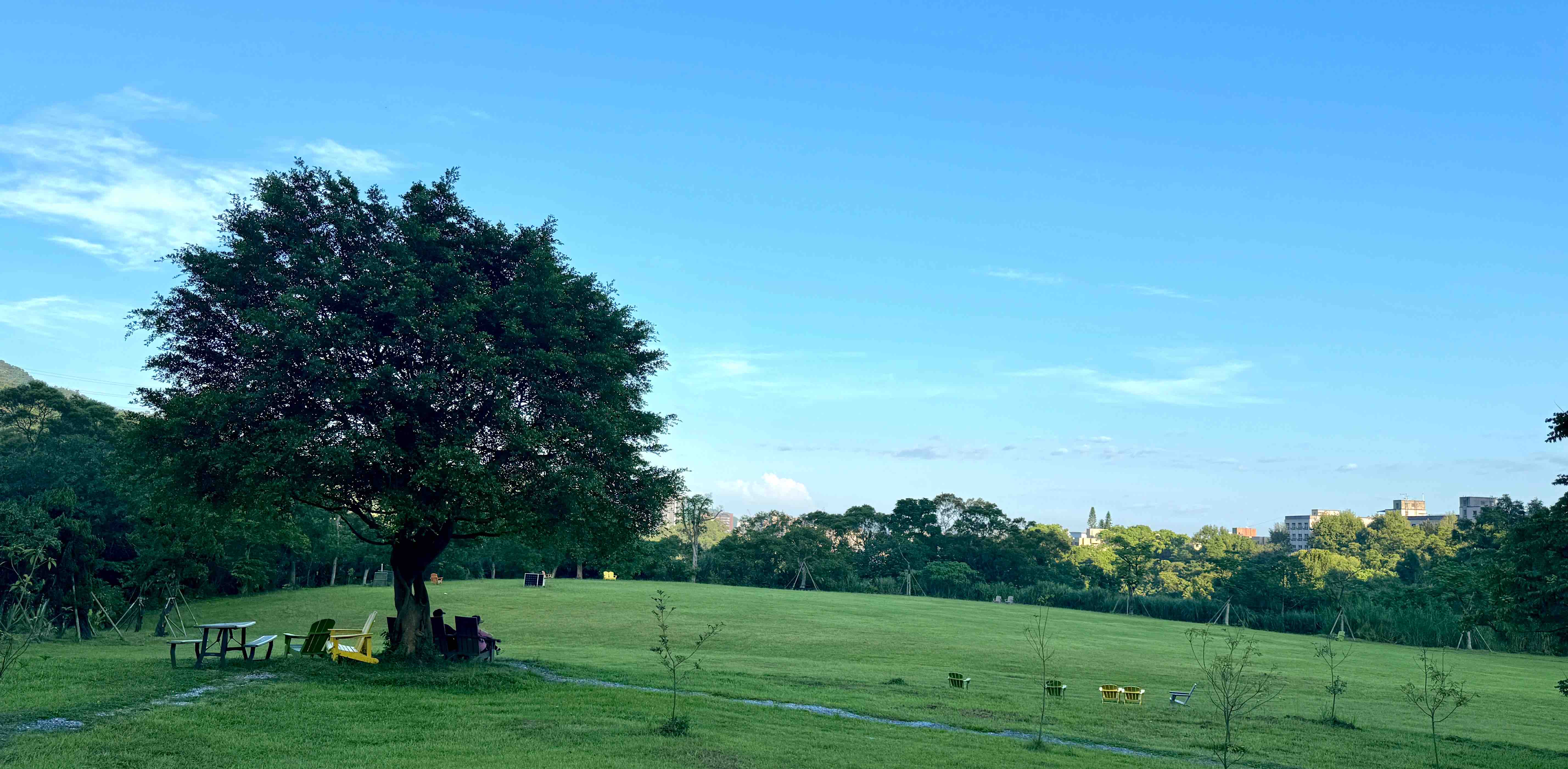 challenge background