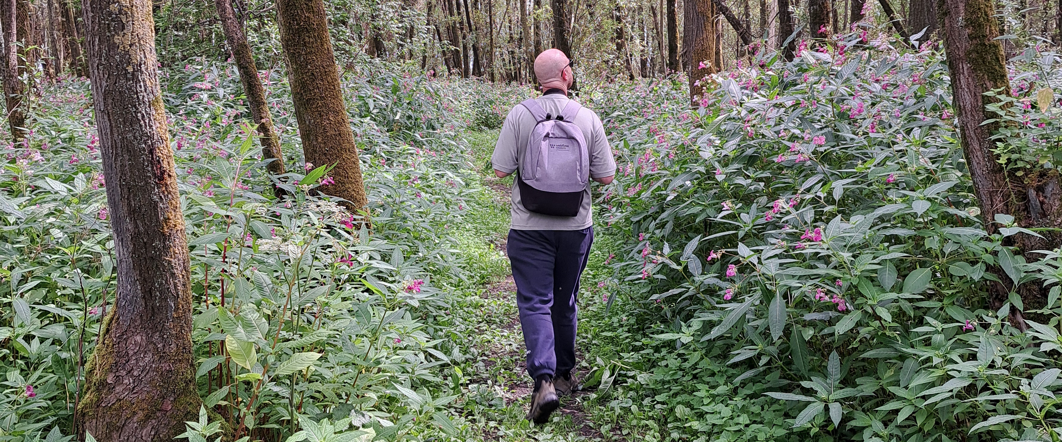 challenge background