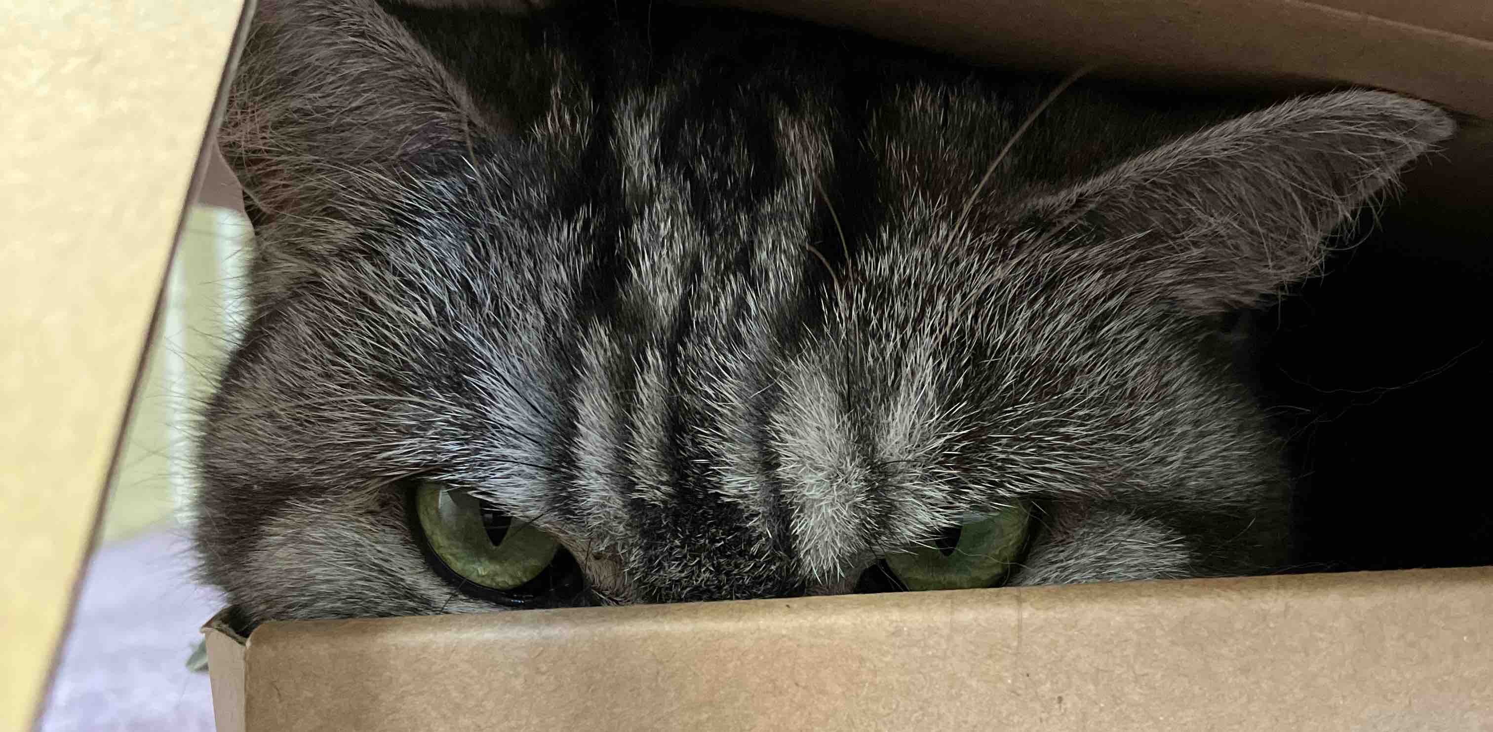 challenge background