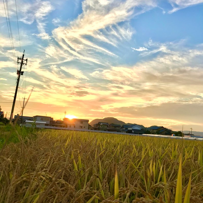 福井県鯖江市　走りましょー logo