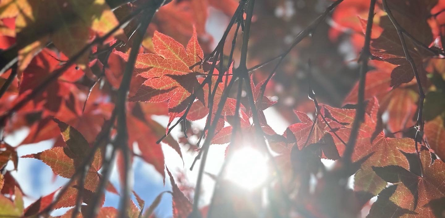 challenge background