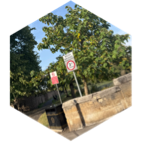 Daily Step Goal - 6000 steps icon