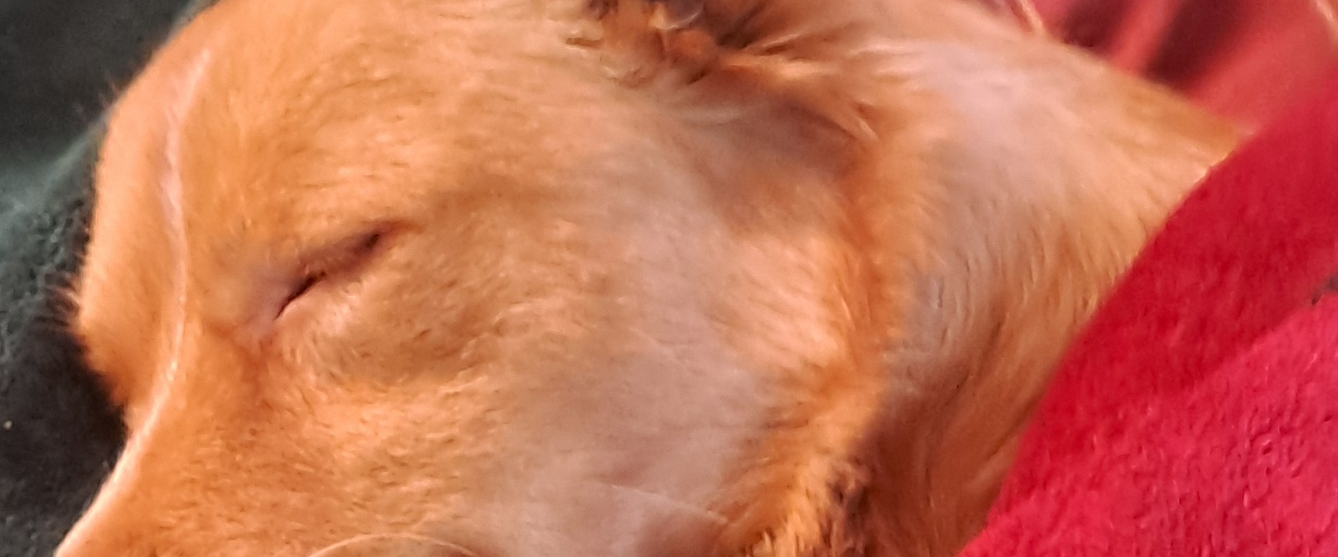 challenge background