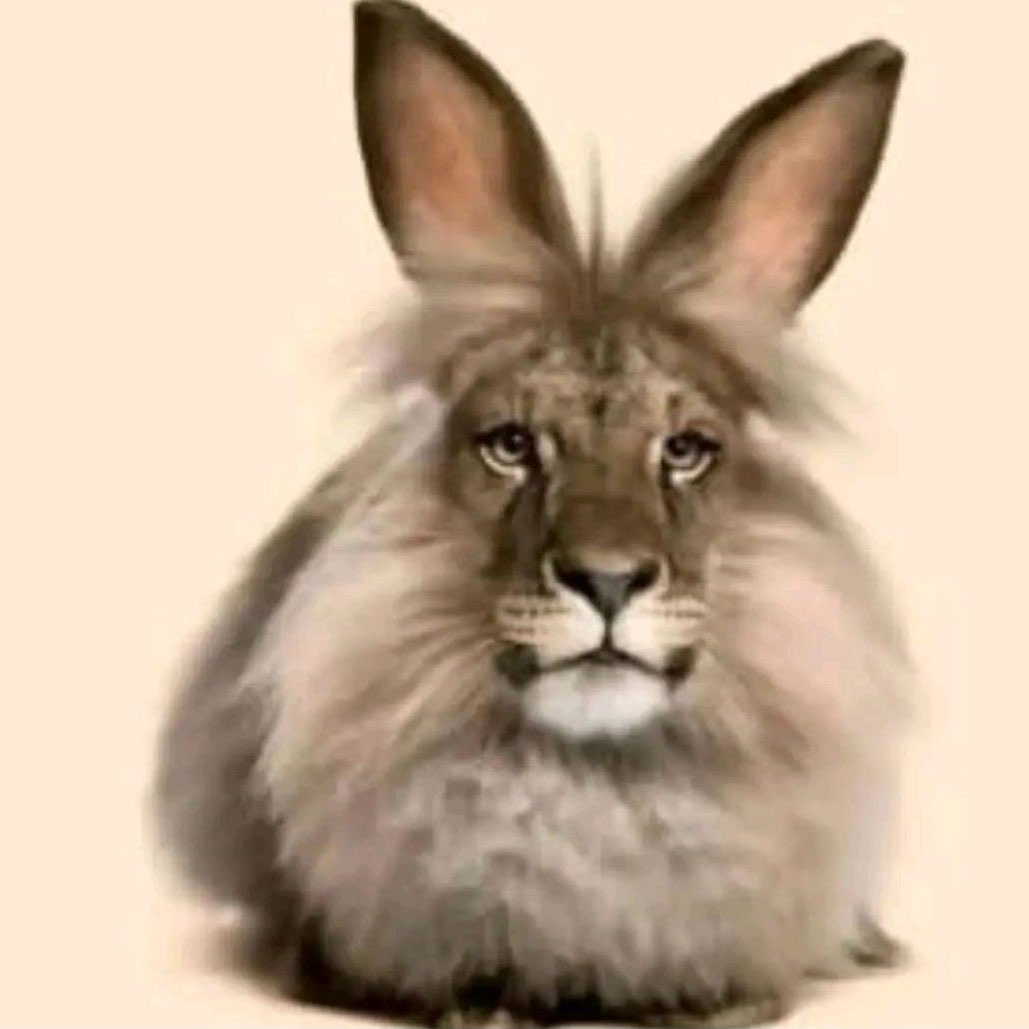 короли асфальта logo