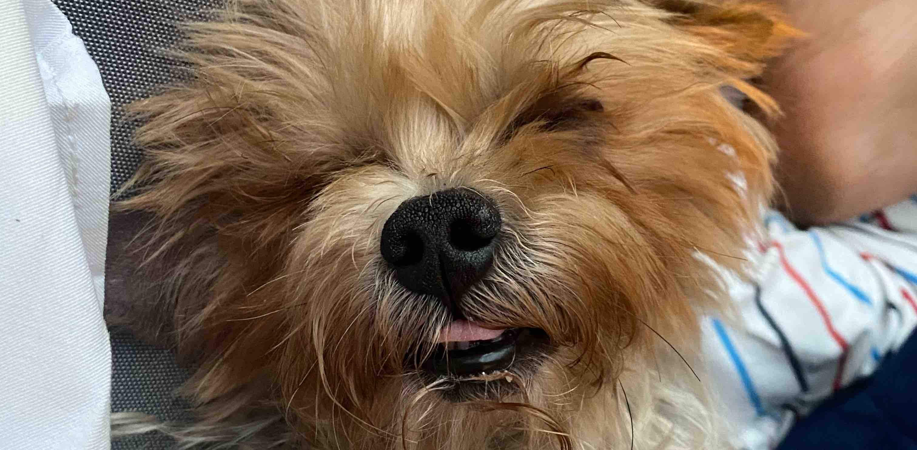 challenge background