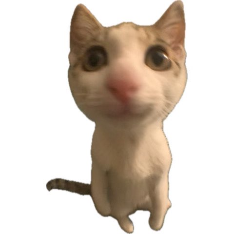 갓생사는 뇨자들의 운동일지 logo