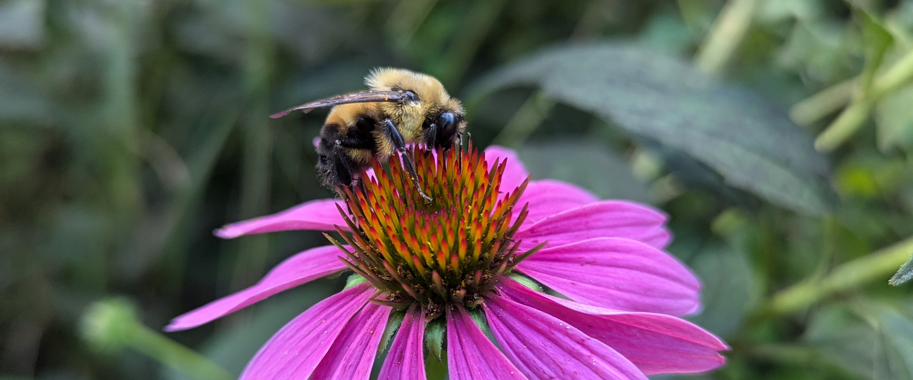 challenge background