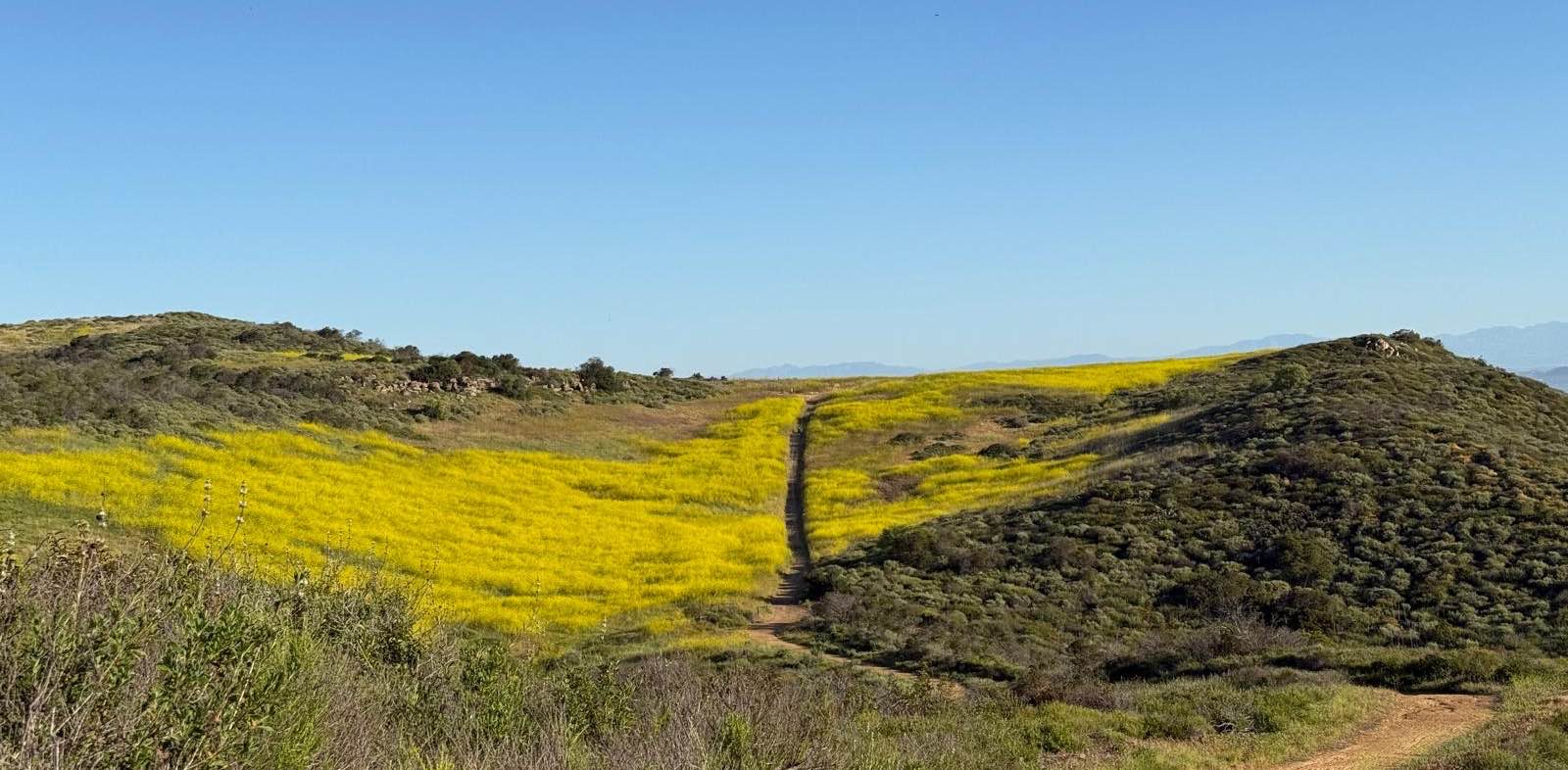 challenge background