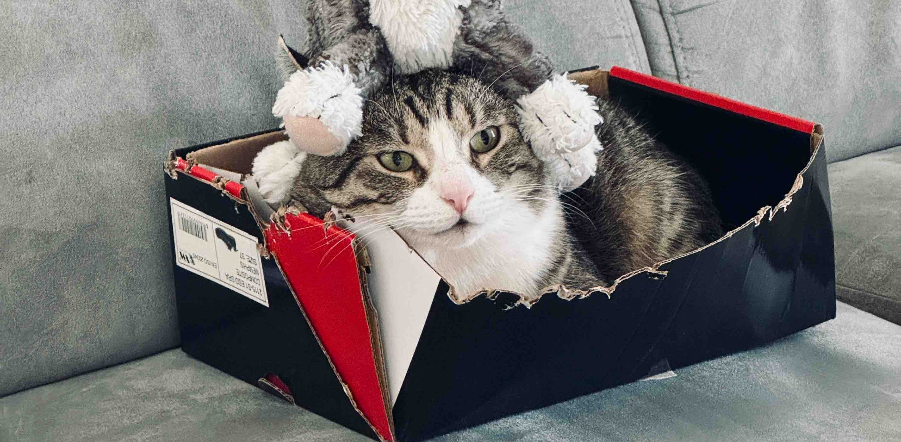 challenge background