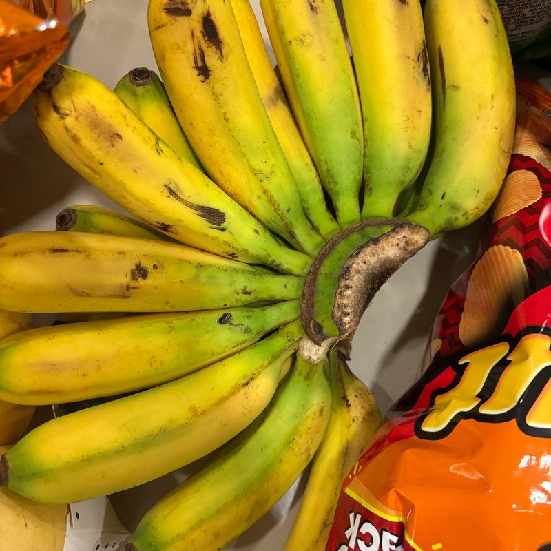 Strategic Logistics logo