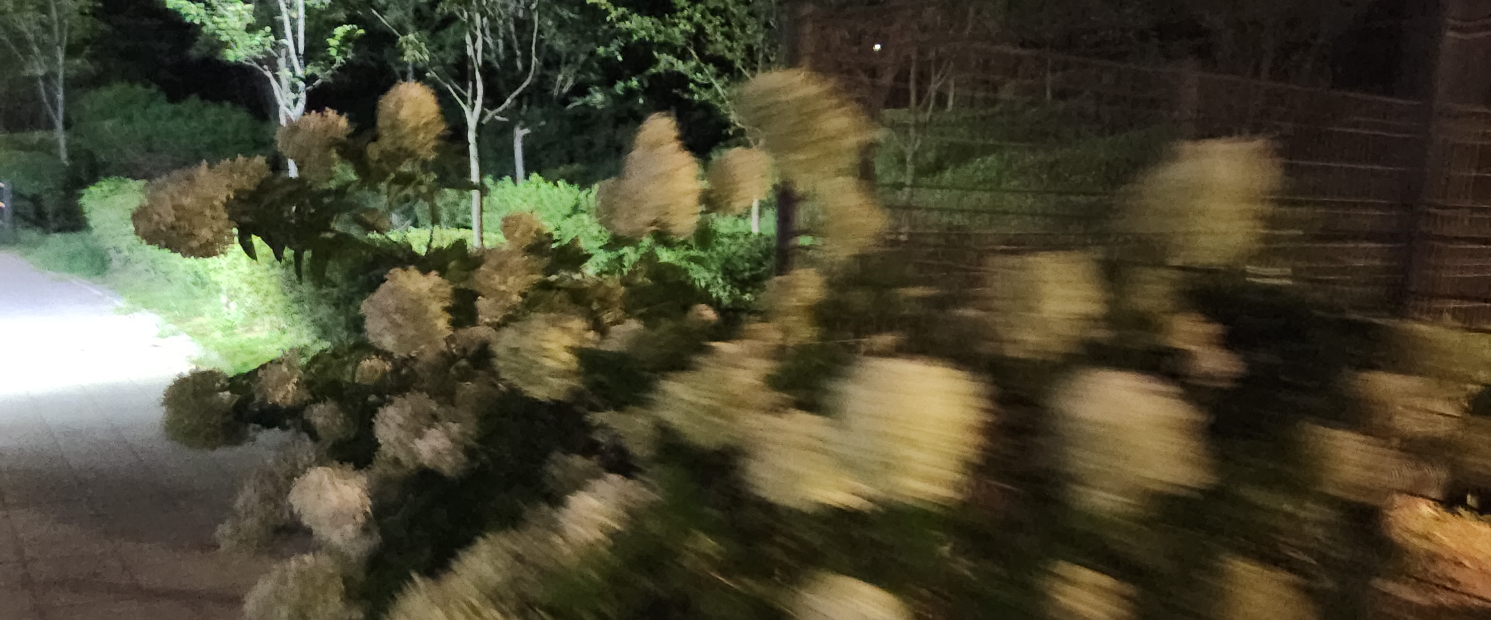 challenge background