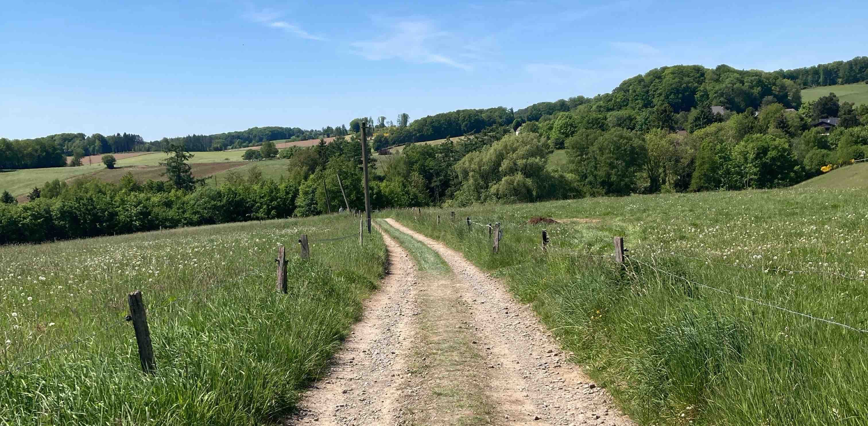 challenge background