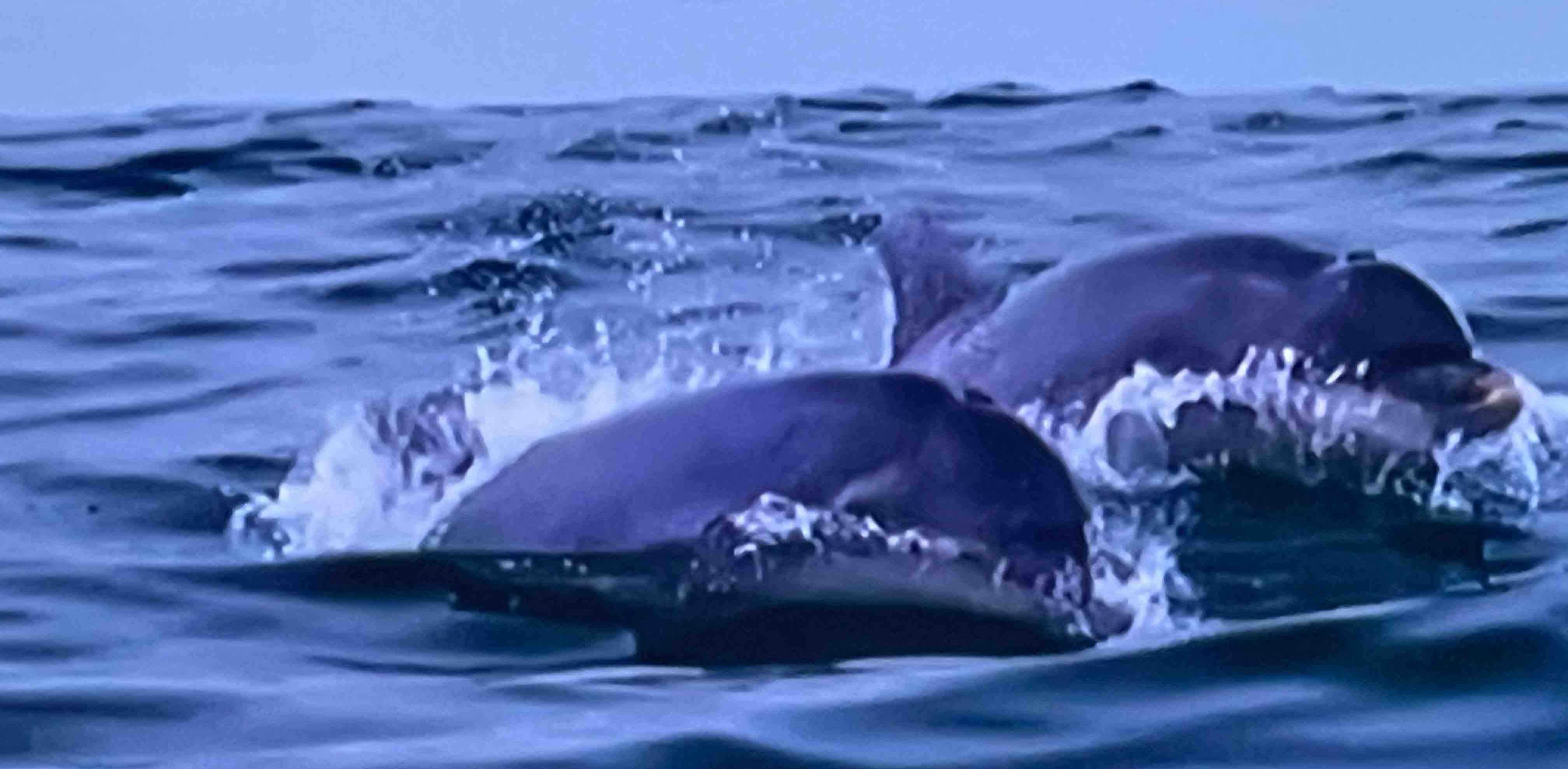 challenge background