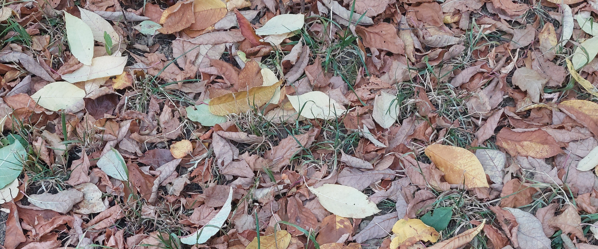 challenge background