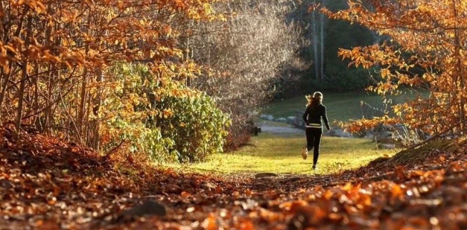 challenge background