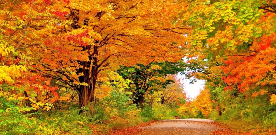 challenge background