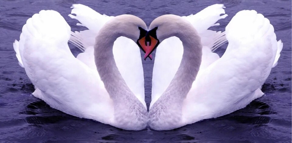 challenge background