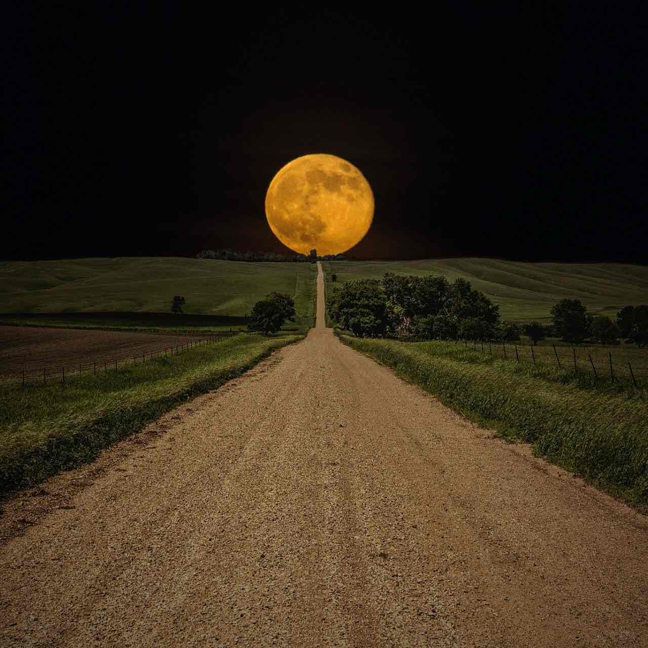 살루토제네시스 logo