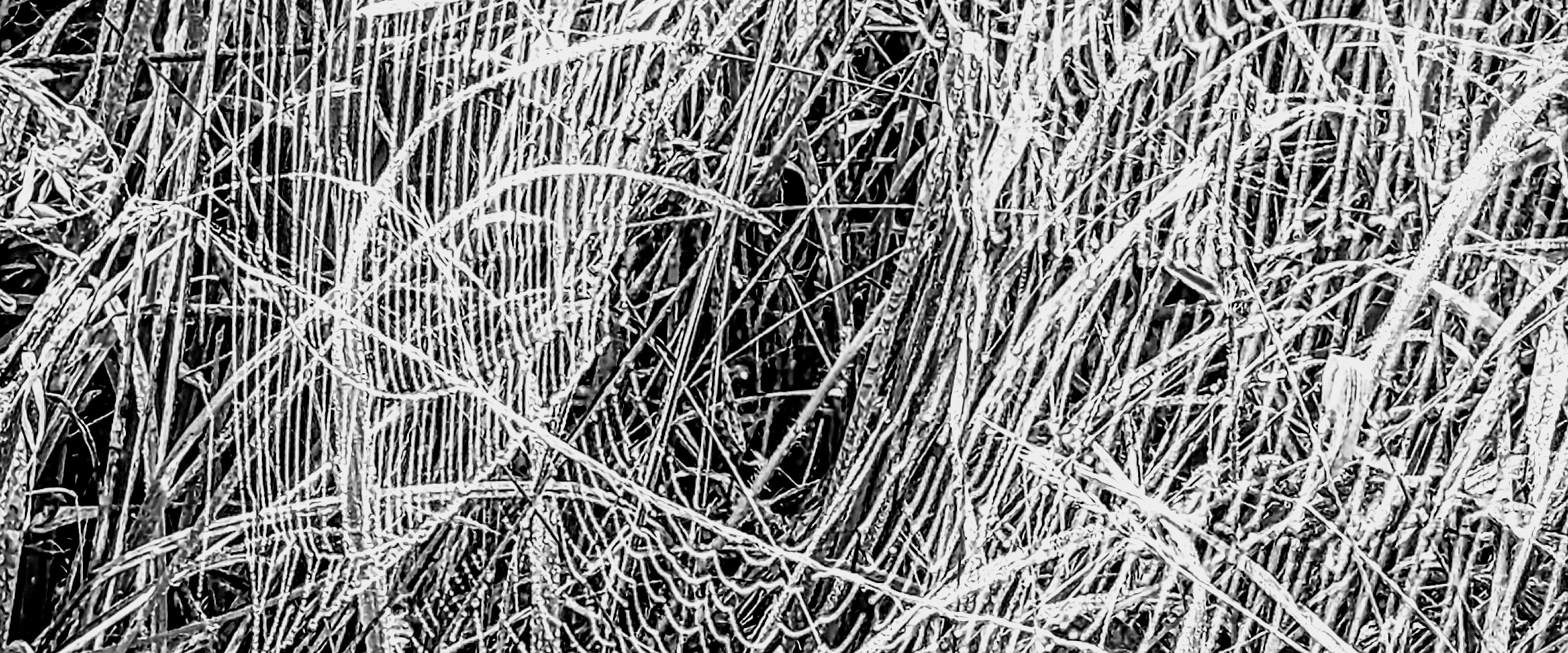 challenge background