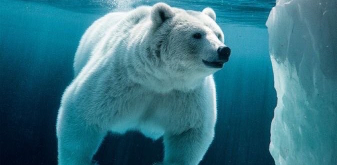 challenge background