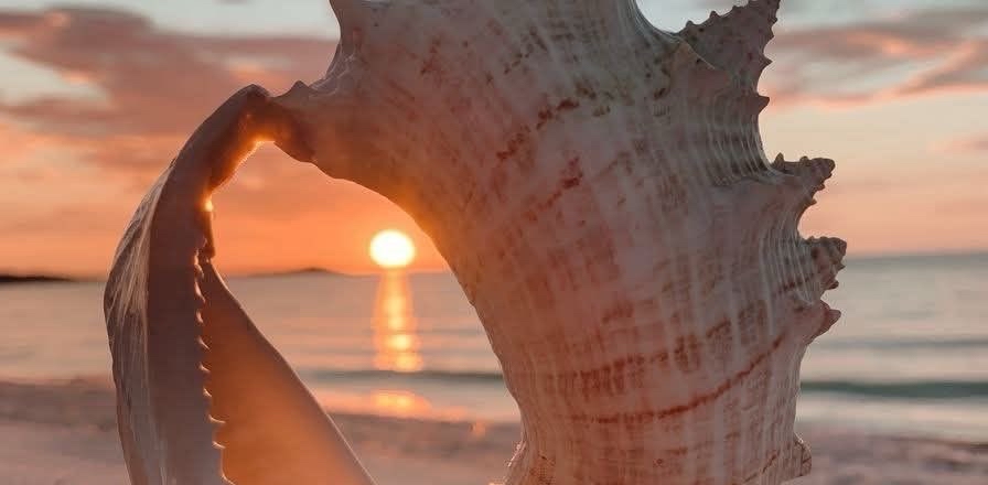 challenge background