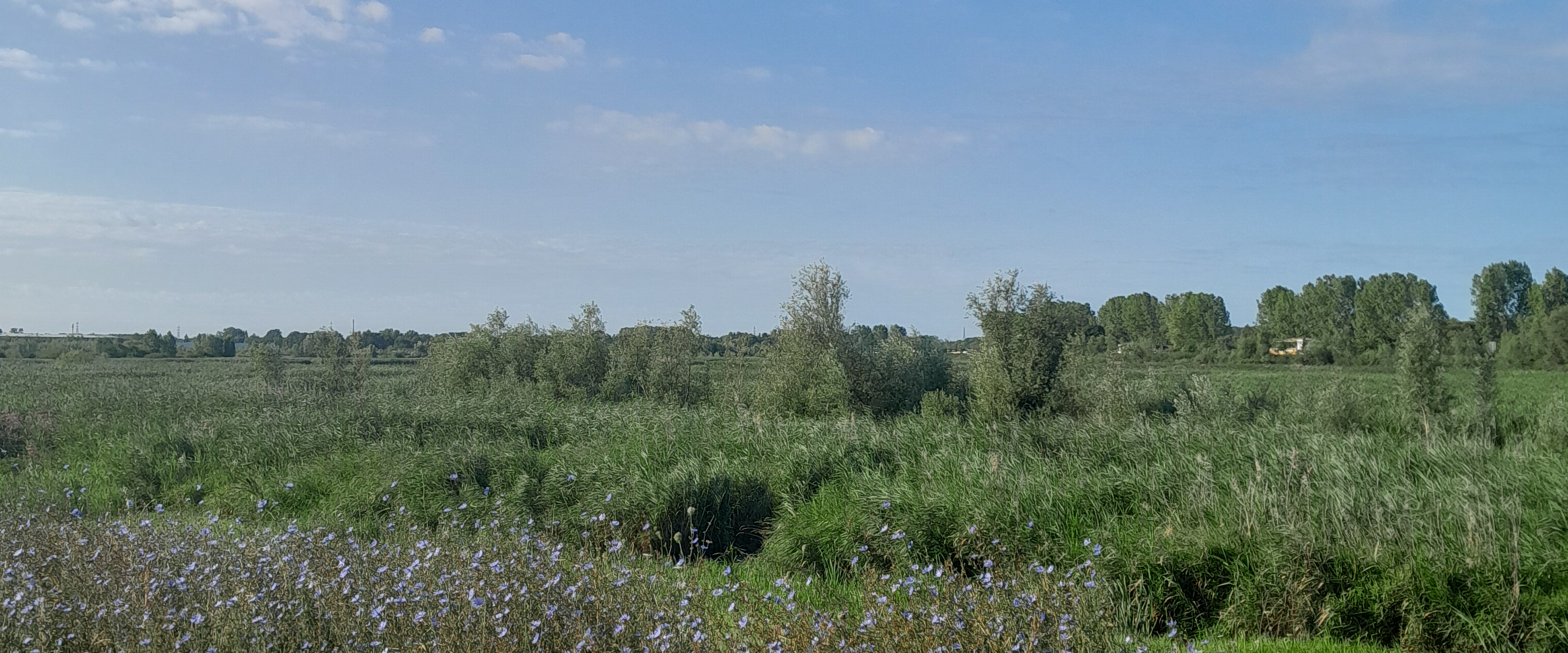 challenge background