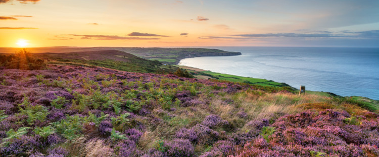 The Yorkshire Moors & Whitby ๐ฌ๐ง๐ logo