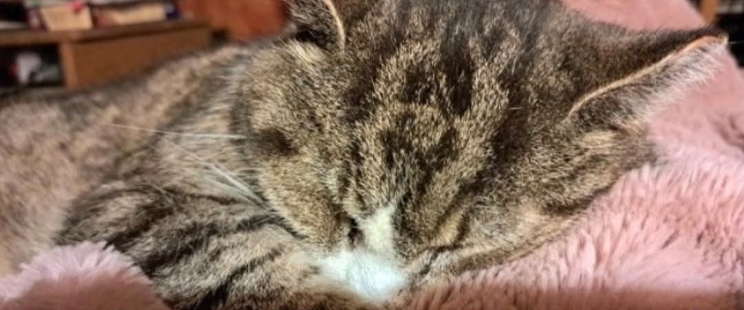 challenge background