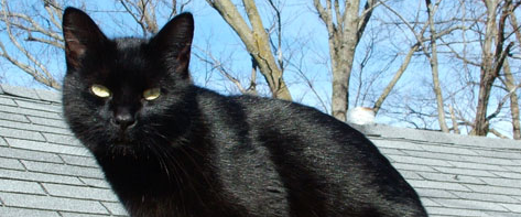 challenge background