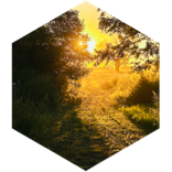 Meaningful Steps Daily icon