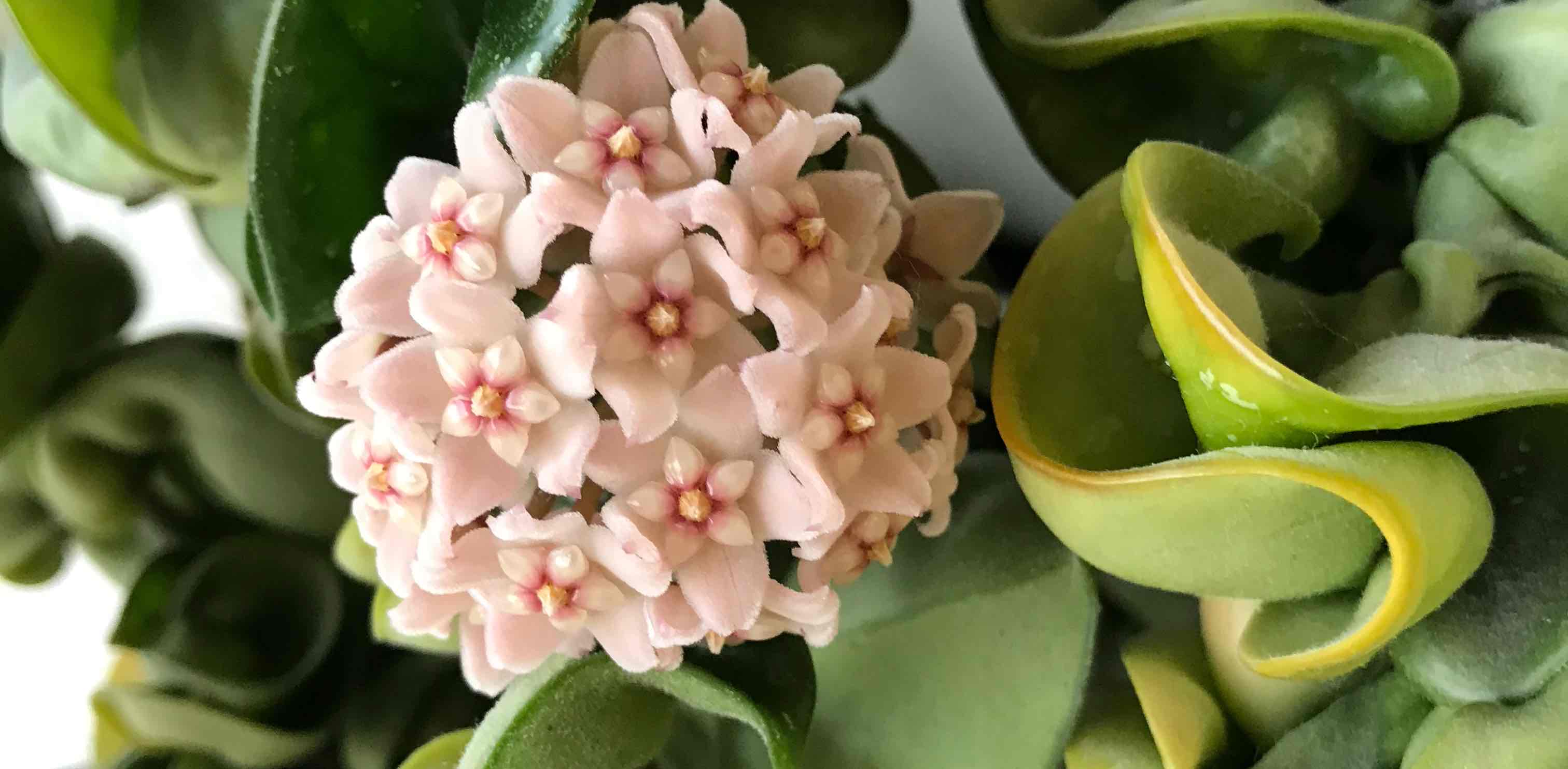 challenge background