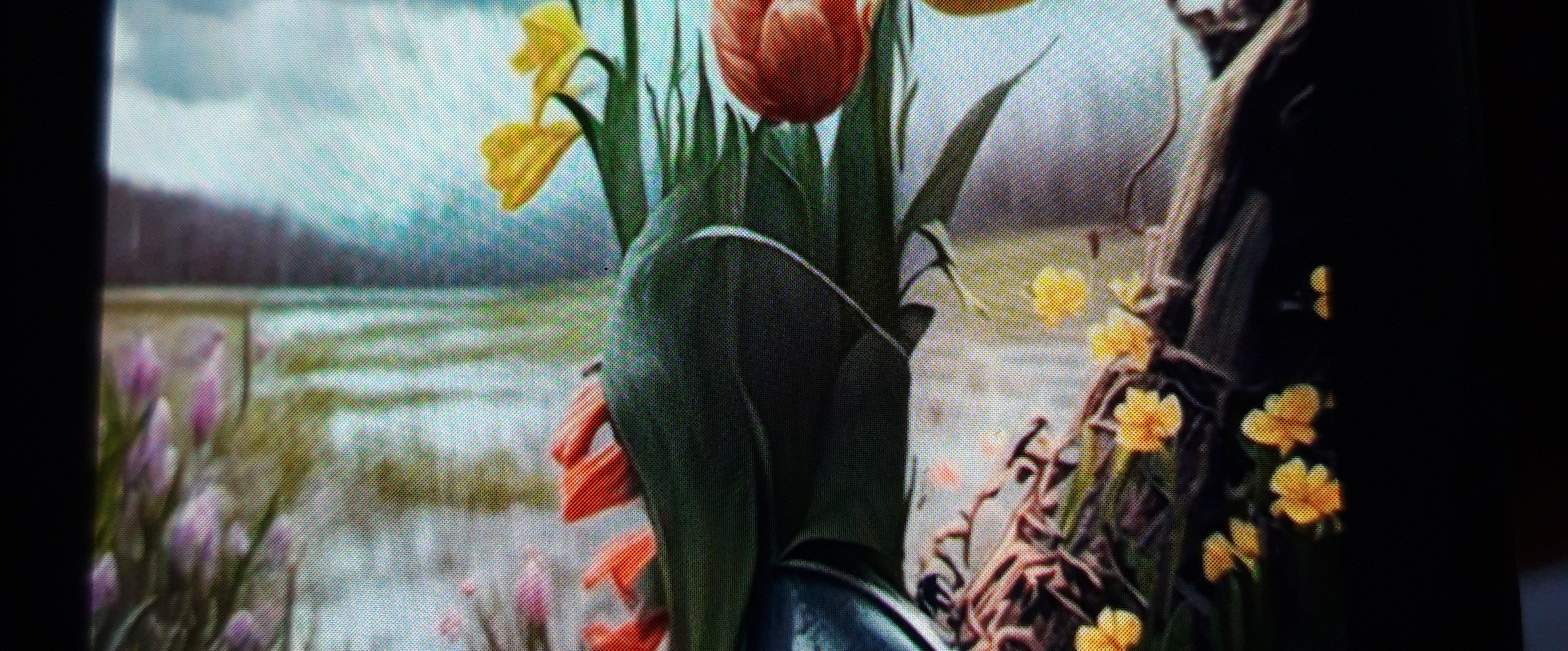 challenge background