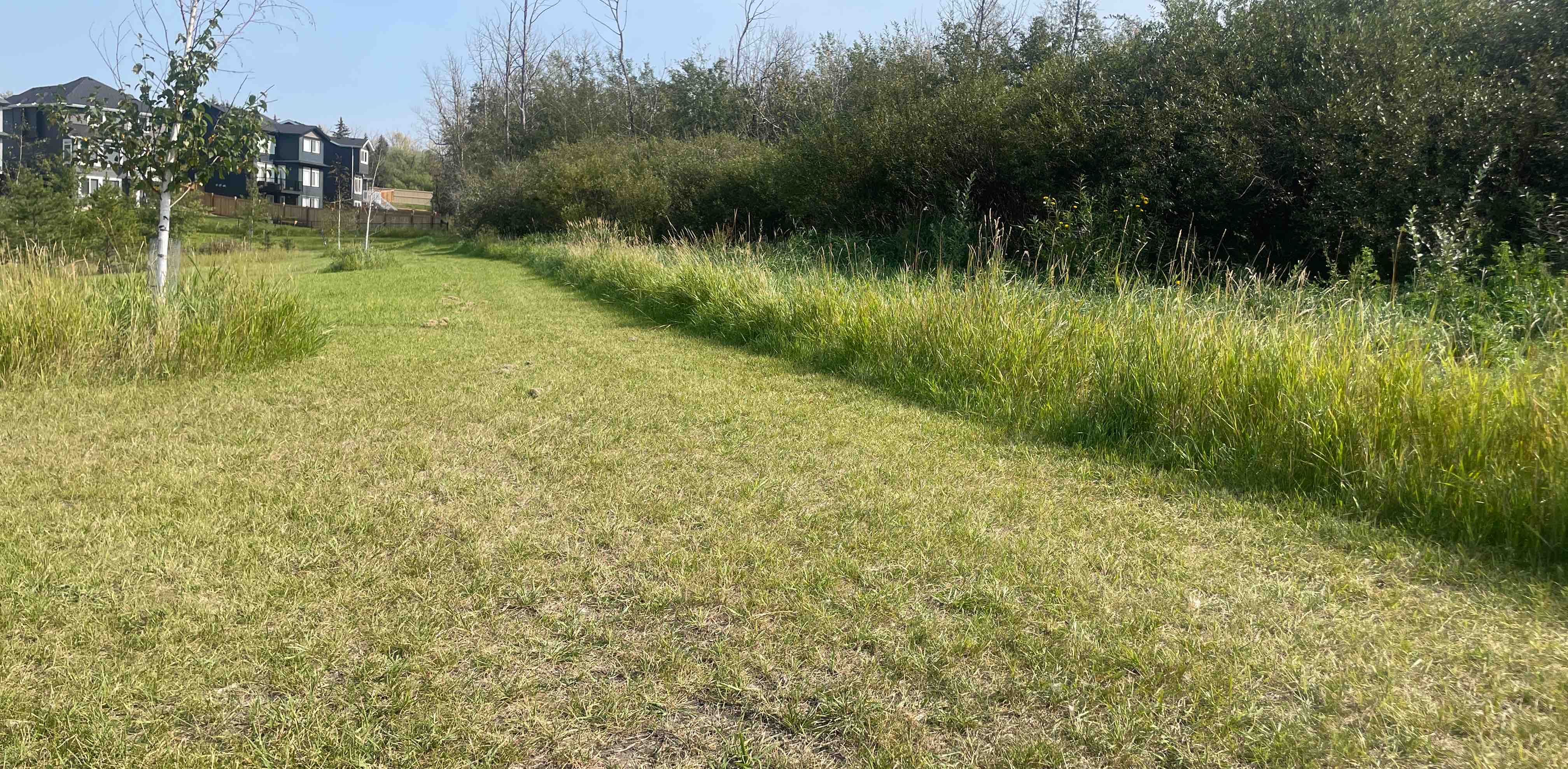 challenge background