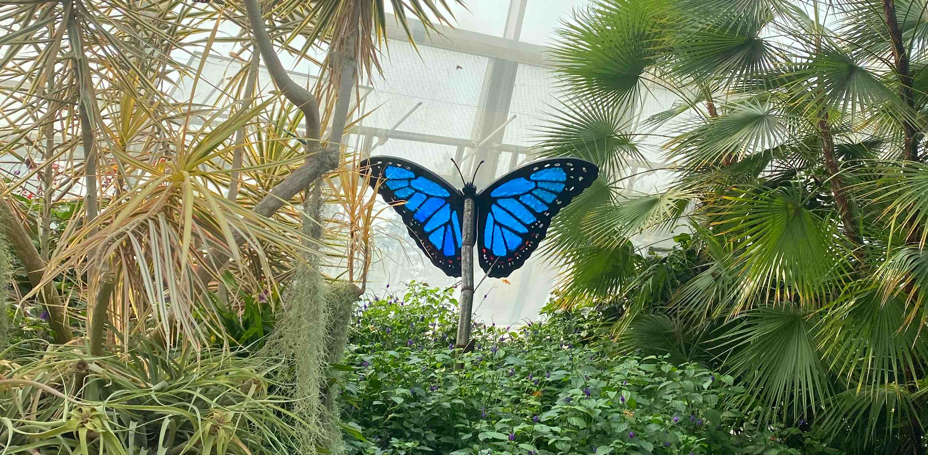 challenge background