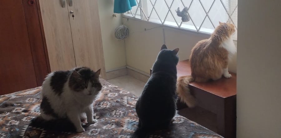 challenge background