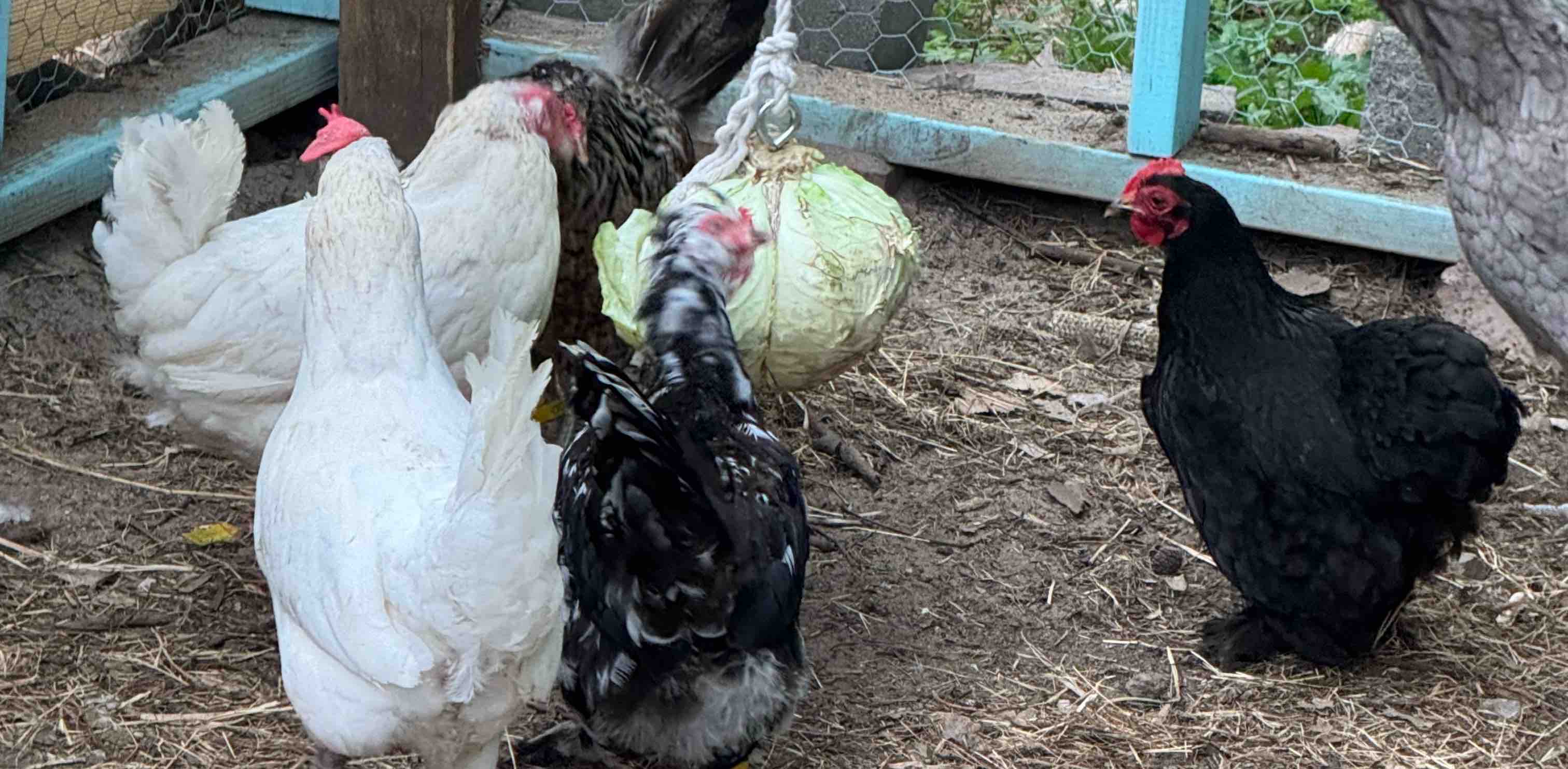 challenge background