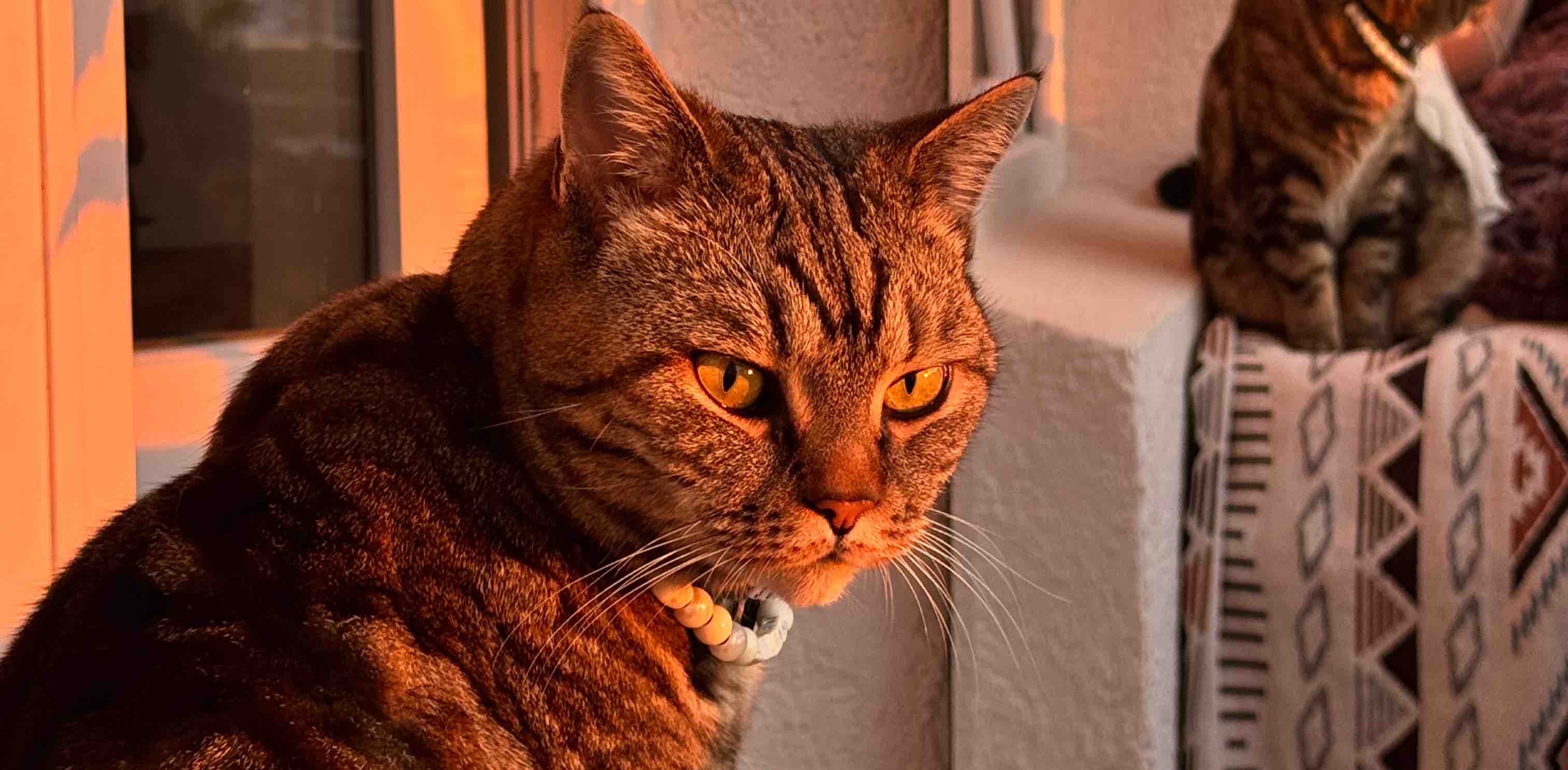 challenge background