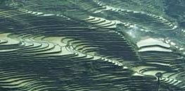 challenge background