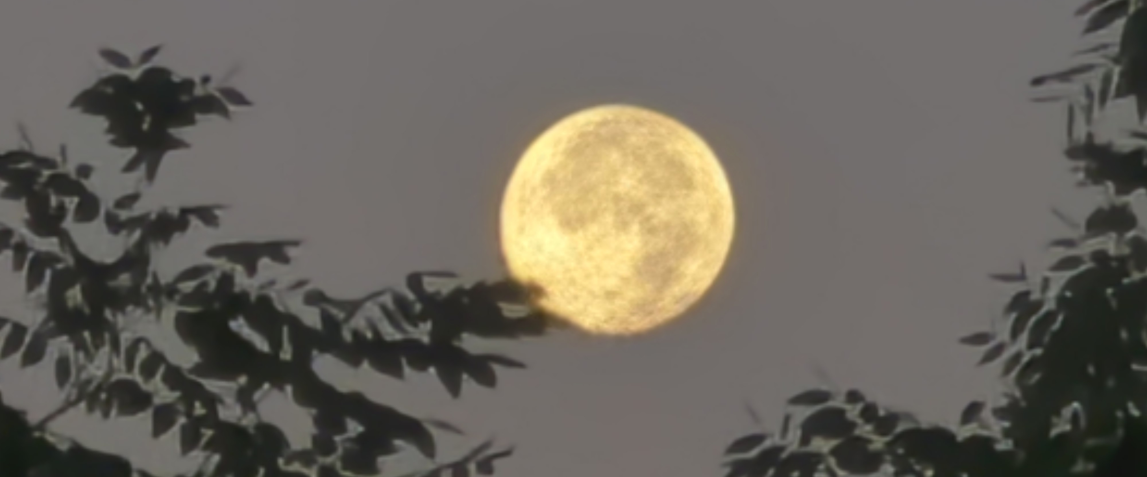 challenge background