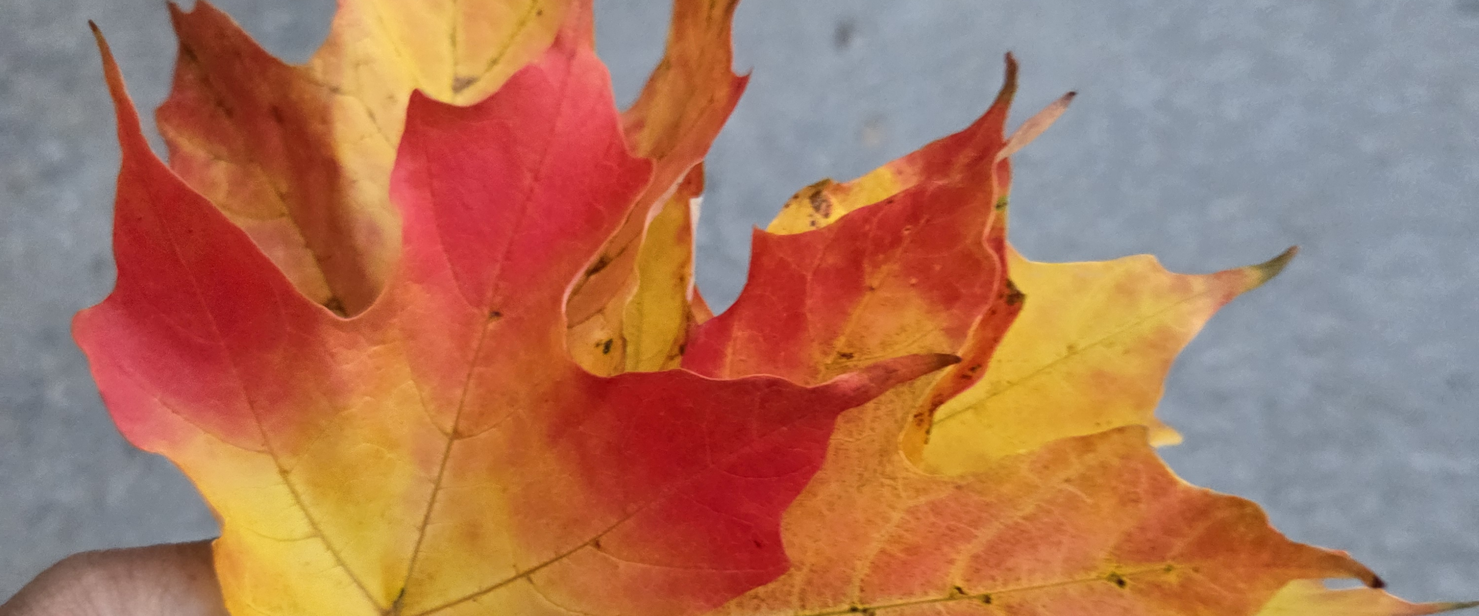 challenge background