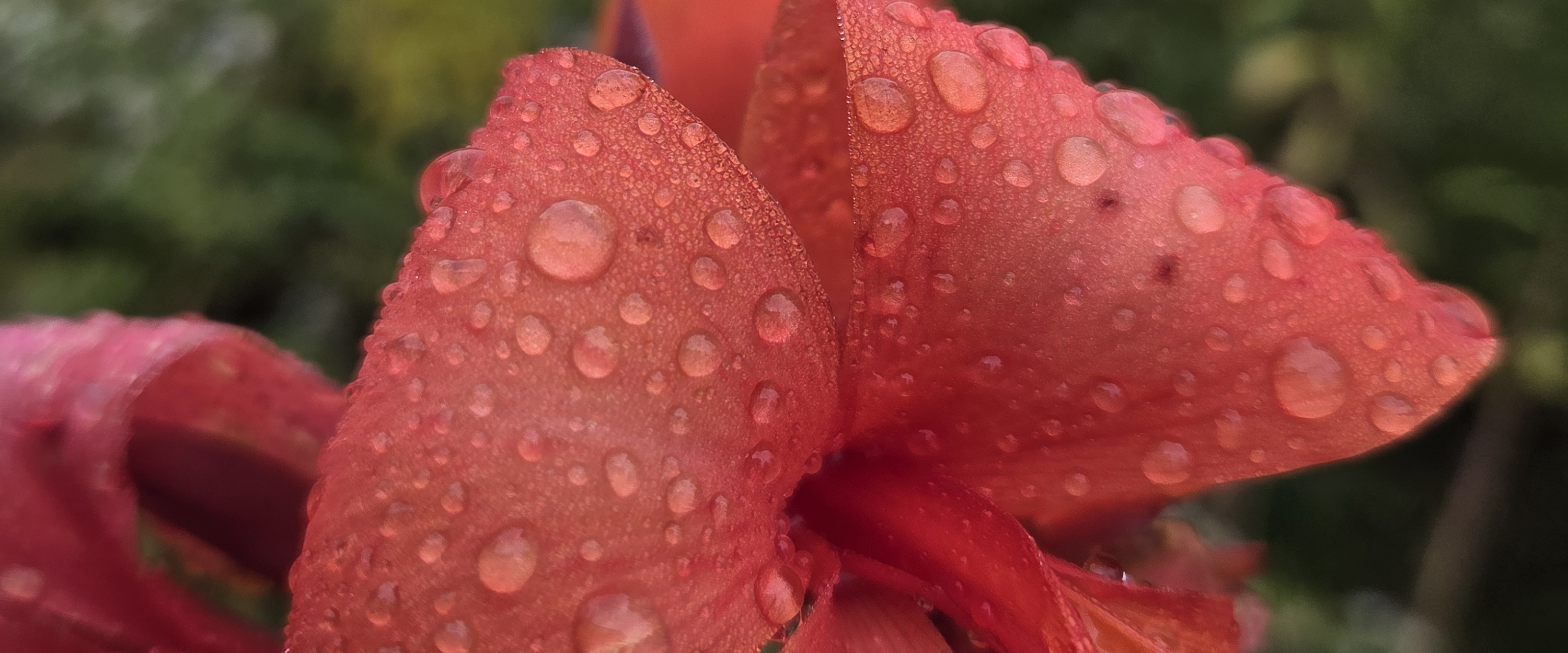 challenge background