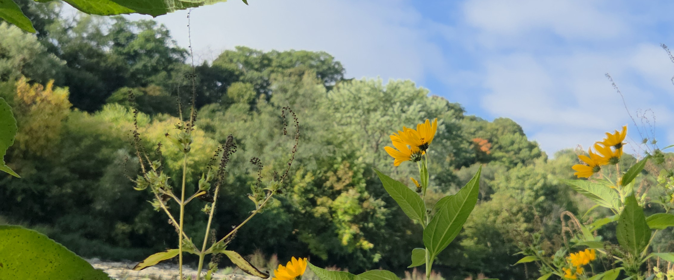 challenge background