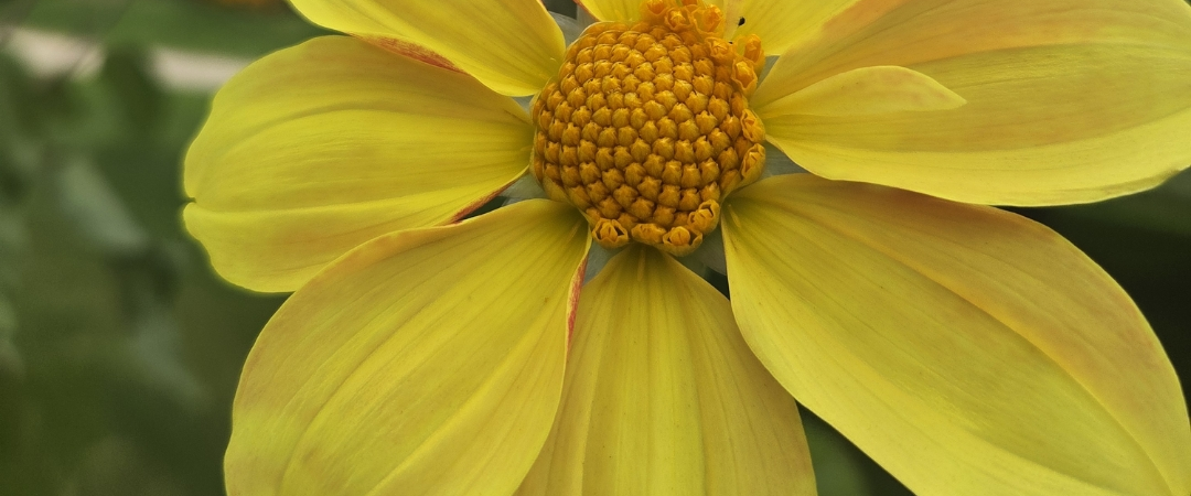 challenge background