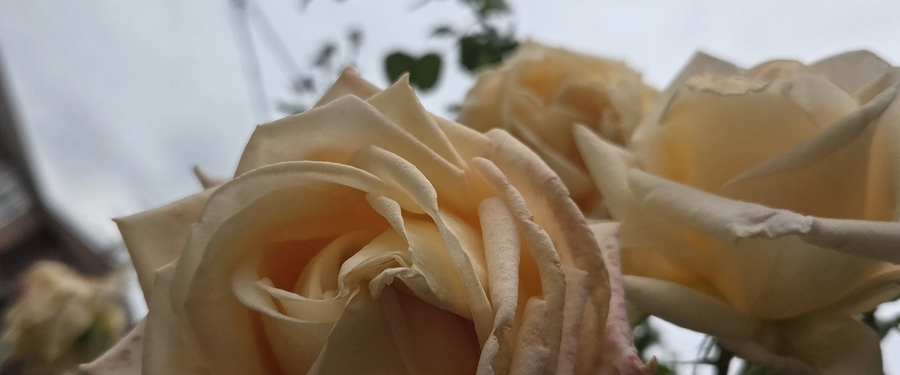 challenge background