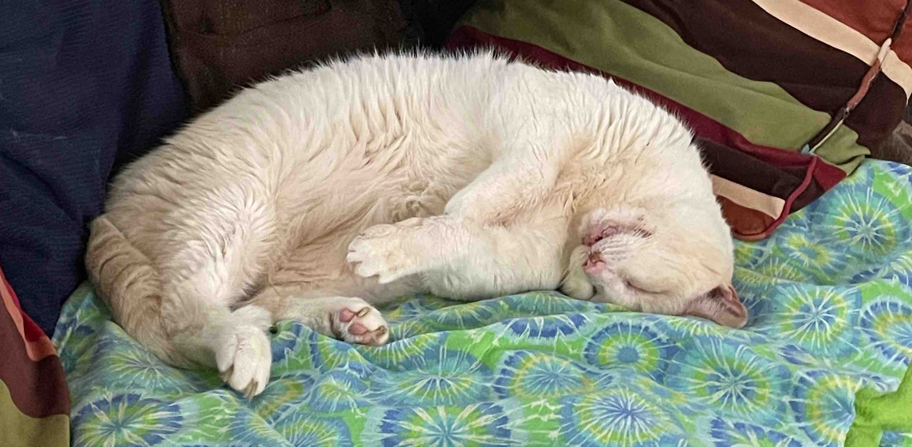 challenge background