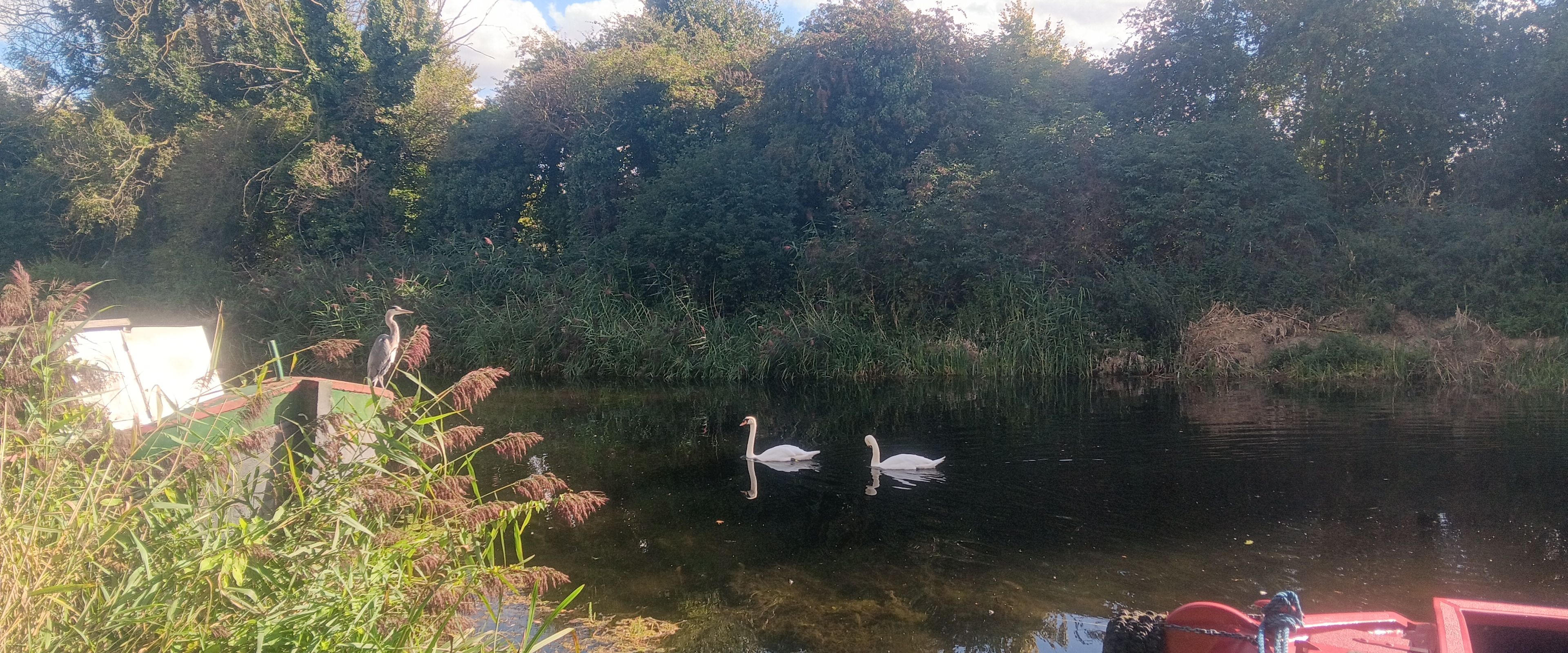 challenge background